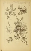 An illustration from Materials and documents of architecture and sculpture : classified alphabetically (1915)