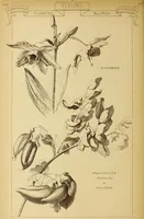 Picture 516 of 542 from Materials and documents of architecture and sculpture : classified alphabetically (1915), leaf 431