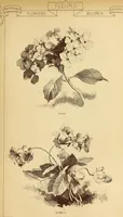 An illustration from Materials and documents of architecture and sculpture : classified alphabetically (1915)