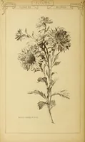 Picture 518 of 542 from Materials and documents of architecture and sculpture : classified alphabetically (1915), leaf 433