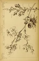 Picture 520 of 542 from Materials and documents of architecture and sculpture : classified alphabetically (1915), leaf 435