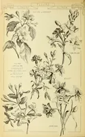 Picture 522 of 542 from Materials and documents of architecture and sculpture : classified alphabetically (1915), leaf 437