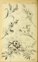 An illustration from Materials and documents of architecture and sculpture : classified alphabetically (1915)