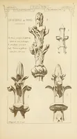 An illustration from Materials and documents of architecture and sculpture : classified alphabetically (1915)