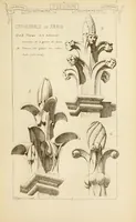 Picture 531 of 542 from Materials and documents of architecture and sculpture : classified alphabetically (1915), leaf 444