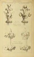 Picture 542 of 542 from Materials and documents of architecture and sculpture : classified alphabetically (1915), leaf 455