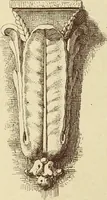 Picture 113 of 542 from Materials and documents of architecture and sculpture : classified alphabetically (1915), leaf 95