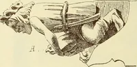 An illustration from Materials and documents of architecture and sculpture : classified alphabetically (1915)