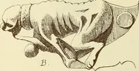 An illustration from Materials and documents of architecture and sculpture : classified alphabetically (1915)