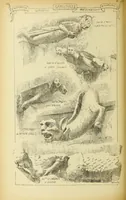 An illustration from Materials and documents of architecture and sculpture : classified alphabetically (1915)