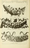 An illustration from Materials and documents of architecture and sculpture : classified alphabetically (1915)