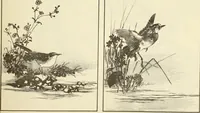An illustration from Materials and documents of architecture and sculpture : classified alphabetically (1915)