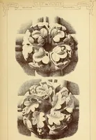 An illustration from Materials and documents of architecture and sculpture : classified alphabetically (1915)
