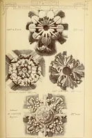 An illustration from Materials and documents of architecture and sculpture : classified alphabetically (1915)