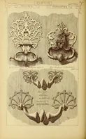 An illustration from Materials and documents of architecture and sculpture : classified alphabetically (1915)