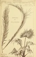 An illustration from Materials and documents of architecture and sculpture : classified alphabetically (1915)