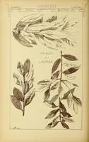 An illustration from Materials and documents of architecture and sculpture : classified alphabetically (1915)