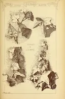 An illustration from Materials and documents of architecture and sculpture : classified alphabetically (1915)
