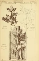 An illustration from Materials and documents of architecture and sculpture : classified alphabetically (1915)