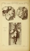 An illustration from Materials and documents of architecture and sculpture : classified alphabetically (1915)