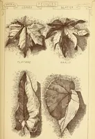 An illustration from Materials and documents of architecture and sculpture : classified alphabetically (1915)