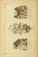An illustration from Materials and documents of architecture and sculpture : classified alphabetically (1915)