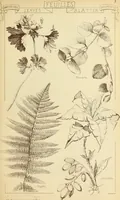 An illustration from Materials and documents of architecture and sculpture : classified alphabetically (1915)