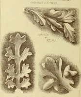An illustration from Materials and documents of architecture and sculpture : classified alphabetically (1915)