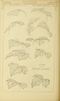 An illustration from Materials and documents of architecture and sculpture : classified alphabetically (1915)