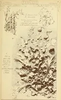 An illustration from Materials and documents of architecture and sculpture : classified alphabetically (1915)