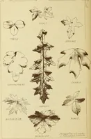 An illustration from Materials and documents of architecture and sculpture : classified alphabetically (1915)