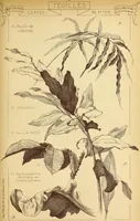 An illustration from Materials and documents of architecture and sculpture : classified alphabetically (1915)