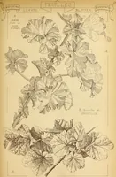 An illustration from Materials and documents of architecture and sculpture : classified alphabetically (1915)