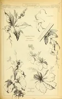 An illustration from Materials and documents of architecture and sculpture : classified alphabetically (1915)