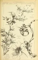 An illustration from Materials and documents of architecture and sculpture : classified alphabetically (1915)