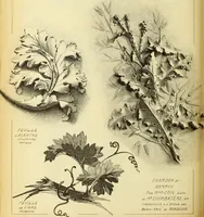 An illustration from Materials and documents of architecture and sculpture : classified alphabetically (1915)