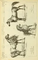 An illustration from Materials and documents of architecture and sculpture : classified alphabetically (1915)