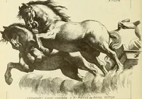 An illustration from Materials and documents of architecture and sculpture : classified alphabetically (1915)