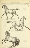 An illustration from Materials and documents of architecture and sculpture : classified alphabetically (1915)
