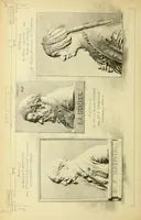 An illustration from Materials and documents of architecture and sculpture : classified alphabetically (1915)