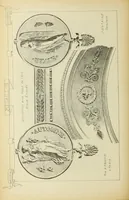 An illustration from Materials and documents of architecture and sculpture : classified alphabetically (1915)