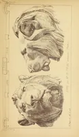 An illustration from Materials and documents of architecture and sculpture : classified alphabetically (1915)