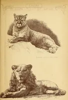 An illustration from Materials and documents of architecture and sculpture : classified alphabetically (1915)