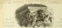 An illustration from Materials and documents of architecture and sculpture : classified alphabetically (1915)