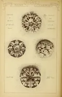 An illustration from Materials and documents of architecture and sculpture : classified alphabetically (1915)
