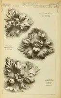 An illustration from Materials and documents of architecture and sculpture : classified alphabetically (1915)