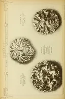 An illustration from Materials and documents of architecture and sculpture : classified alphabetically (1915)