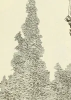 An illustration from Materials and documents of architecture and sculpture : classified alphabetically (1915)