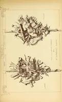 An illustration from Materials and documents of architecture and sculpture : classified alphabetically (1915)