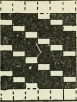An illustration from Mathematical construction, informal number work for busy hands; grades one and two (1911)